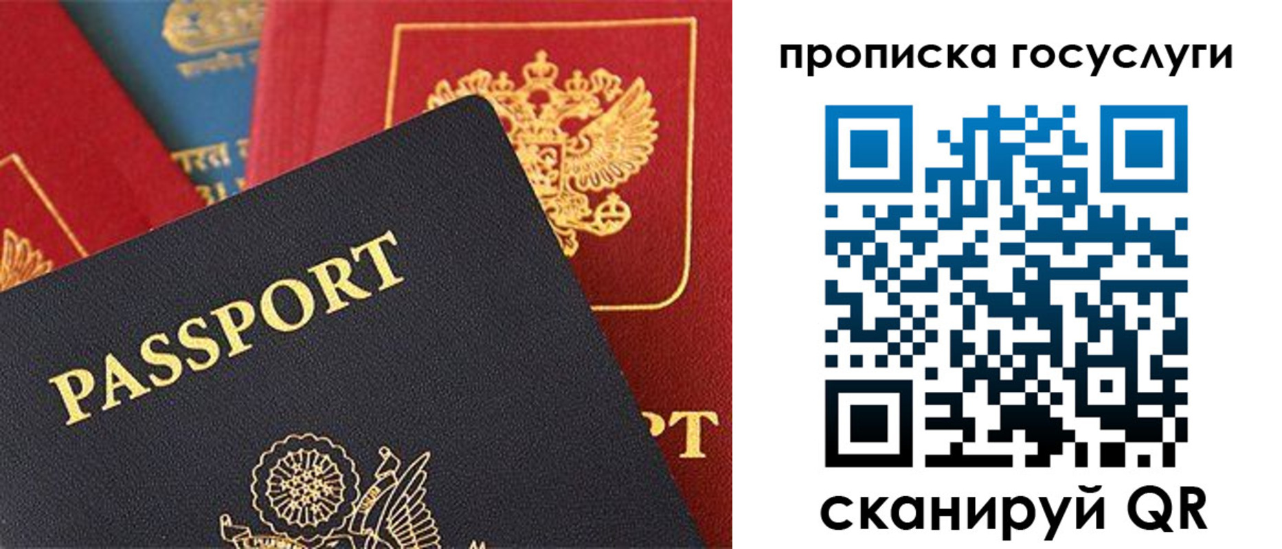 пропишу в квартире в Зеленоградске